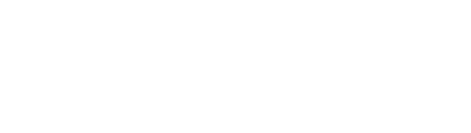 MUSSE